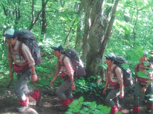 ���Z���̊�荂�Z�R�x��